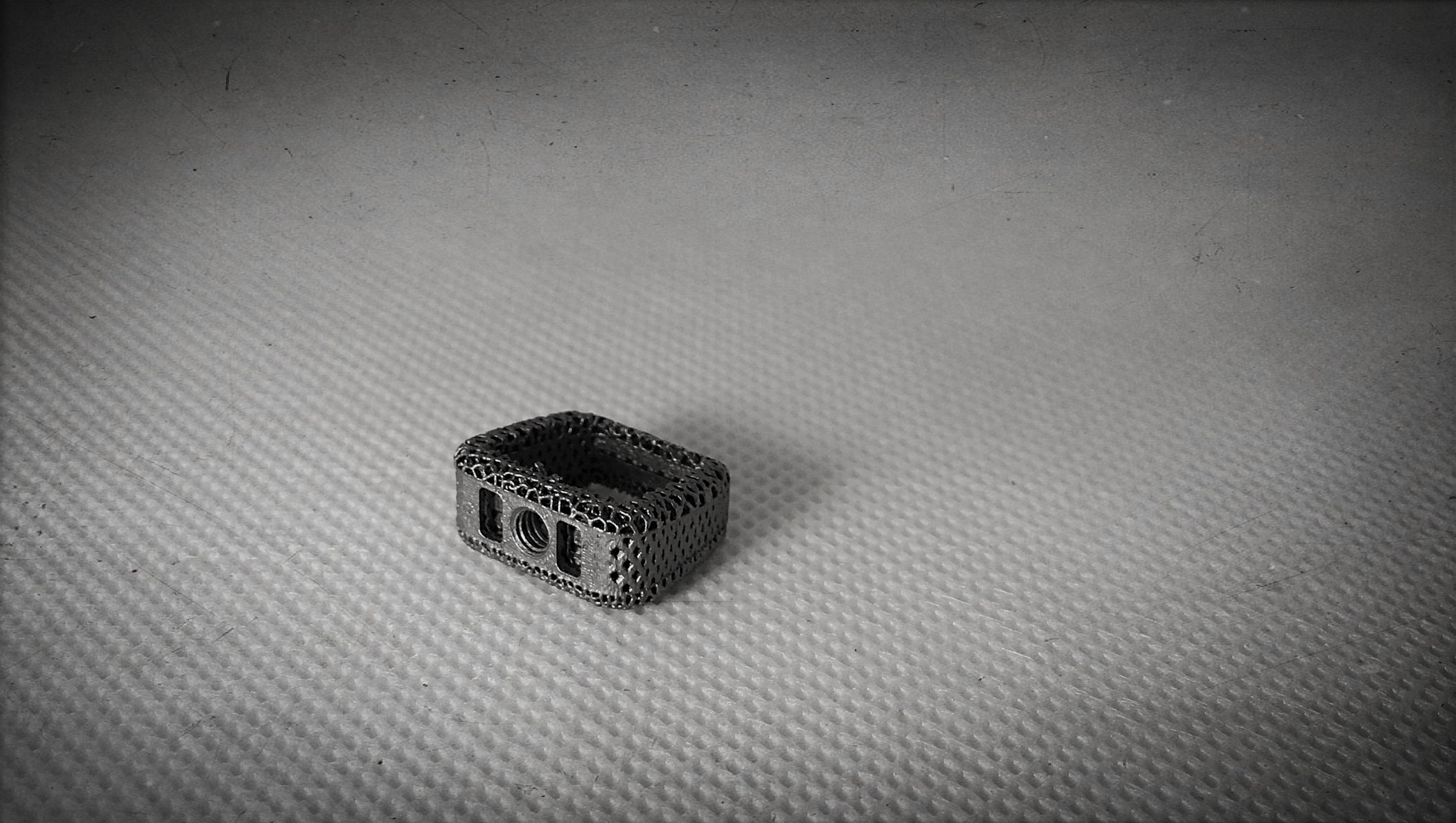 A 3D printed cage implant. Photo via Tangible Solutions.