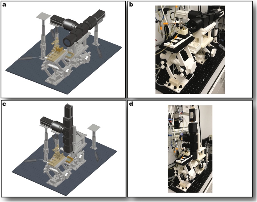 Full Optical System Assembly. Sideways imaging mode rendering (a) and photo (b) Upright imaging mode rendering (c) and photo (d). In the renderings, stage components are shown in light gray, optical components in dark gray, and perfusion components in gold. Image via GWU/MIPT.
