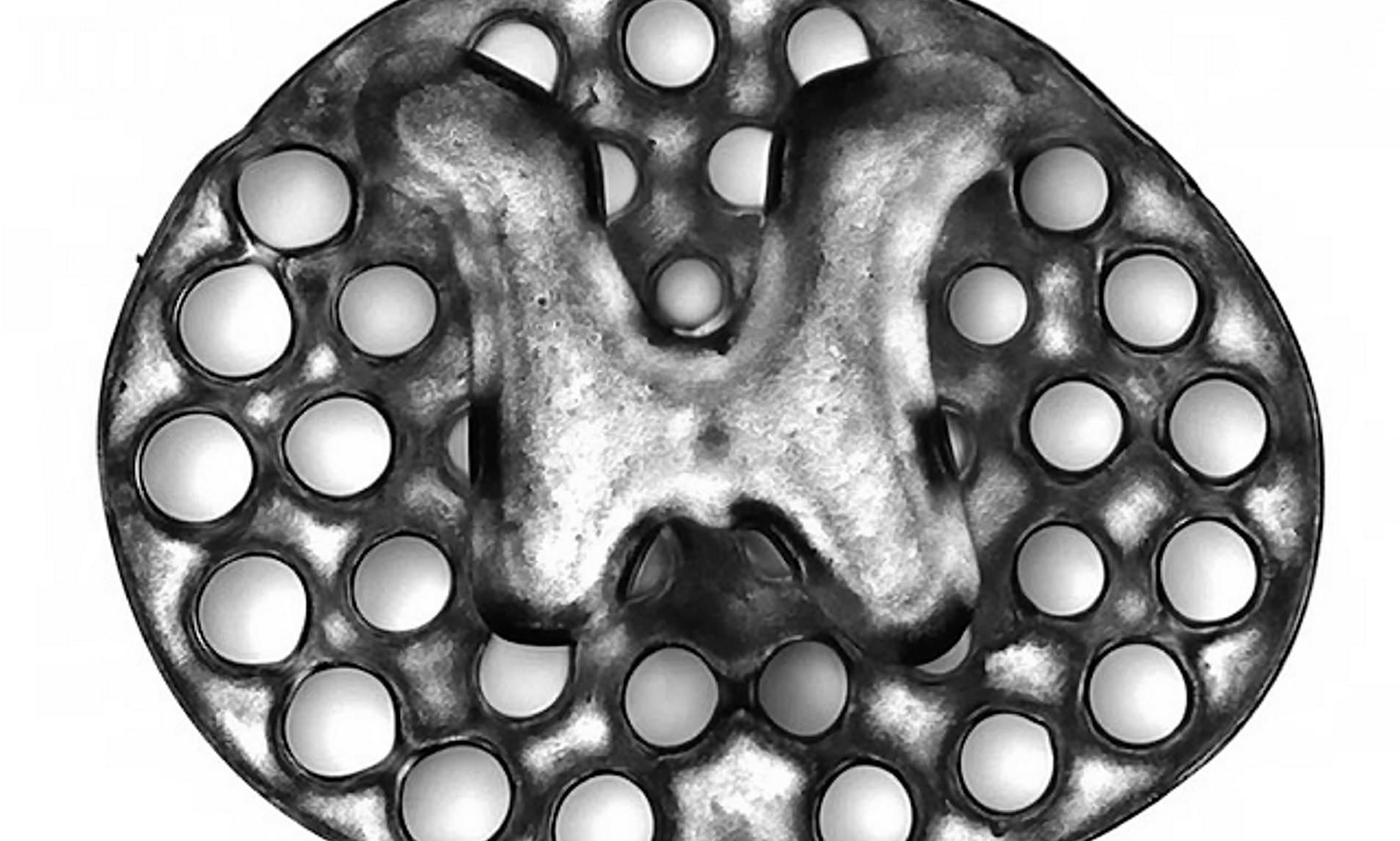 The 3D printed implant used as scaffolding to repair spinal cord injuries in rats. Image via Jacob Koffler/Wei Zhu, UCSD.