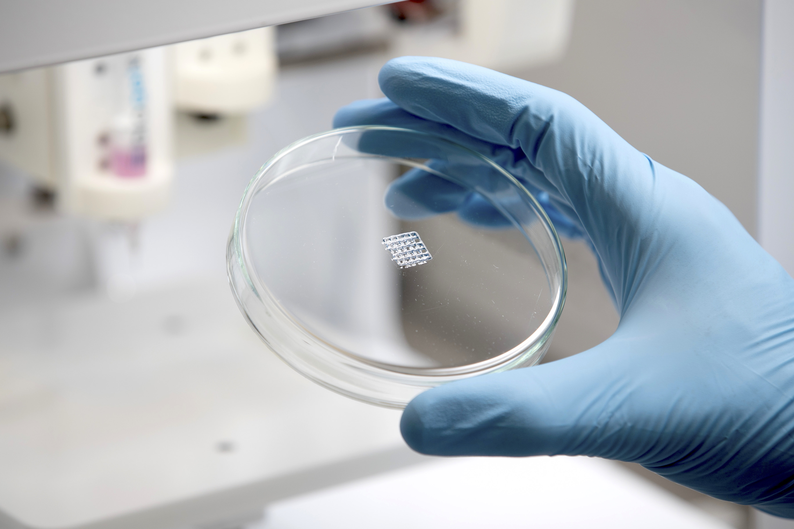 A sample of 3D printed Biogelx™-INK. Photo via Biogelx