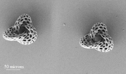 SEM image of moebius knots with Voronoï porosity 3D printed at Microlight3D. Image via Microlight3D