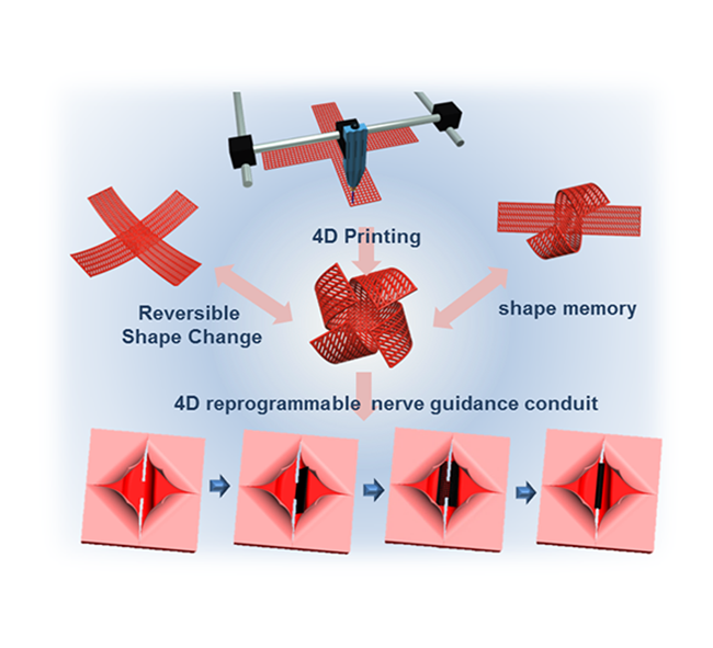 A depiction of the 4D printed smart structure. Image via GWU.