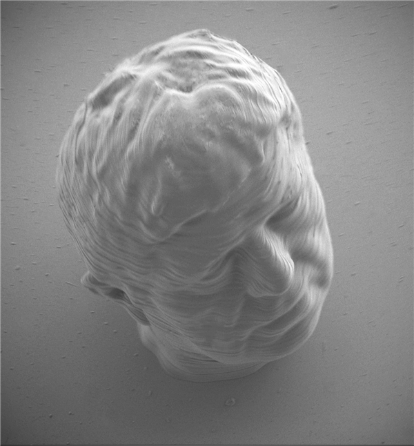 Self portrait of French artist Michel Paysant made in collaboration with Microlight3D. Image via Michel Paysant